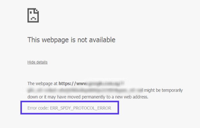 err_spdy_protocol_error