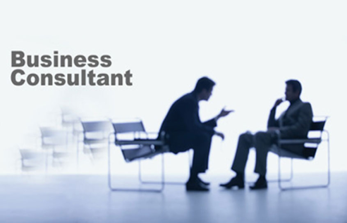 business consultant