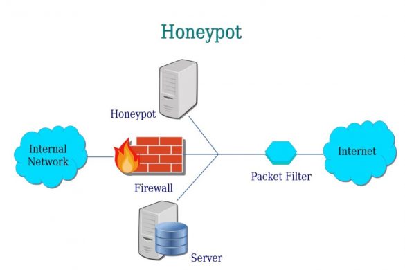 Honeypot