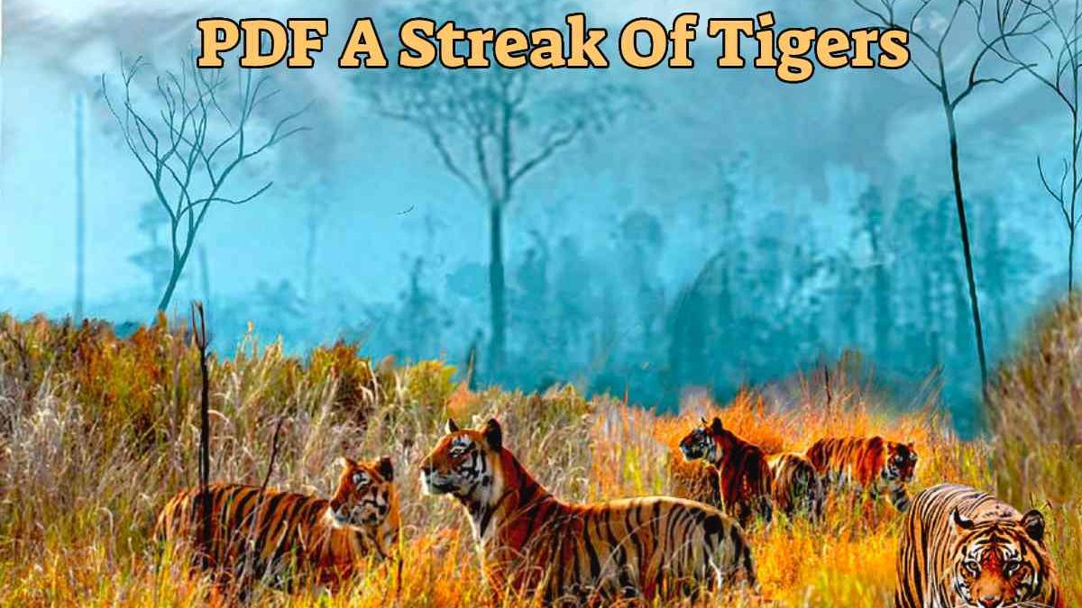 PDF A Streak Of Tigers – General Terms And Conditions Worth Knowing