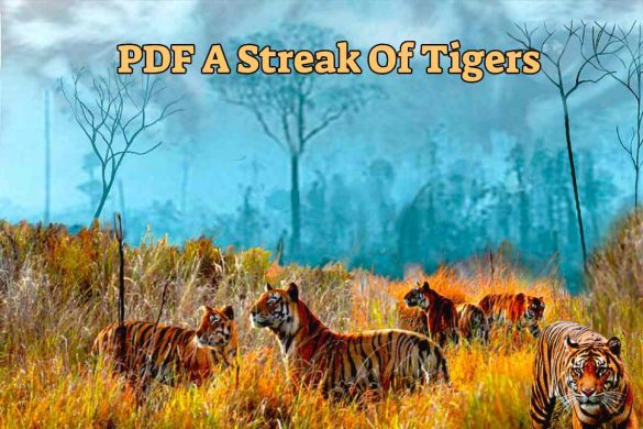 PDF A Streak Of Tigers