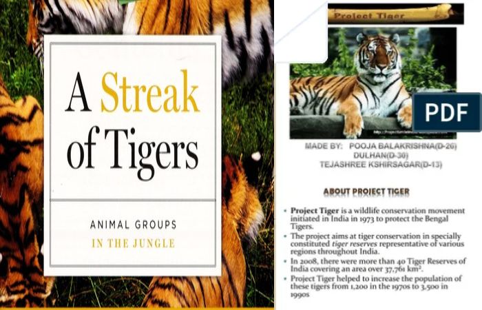 PDF A Streak Of Tigers