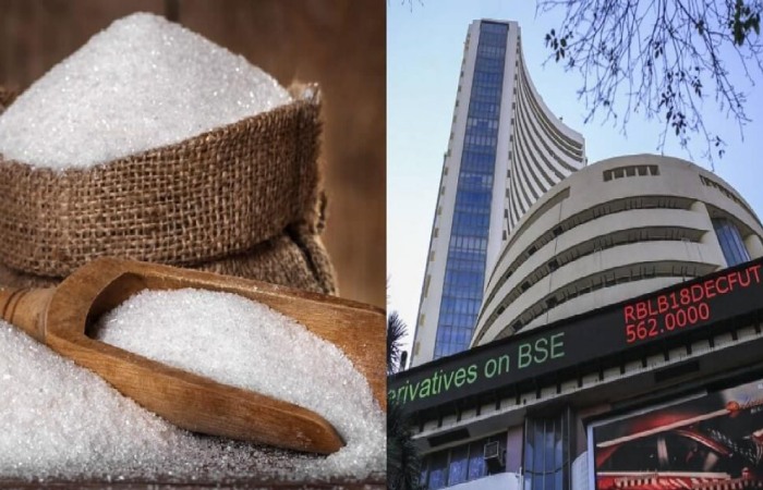 What Is Nse: Ugarsugar?