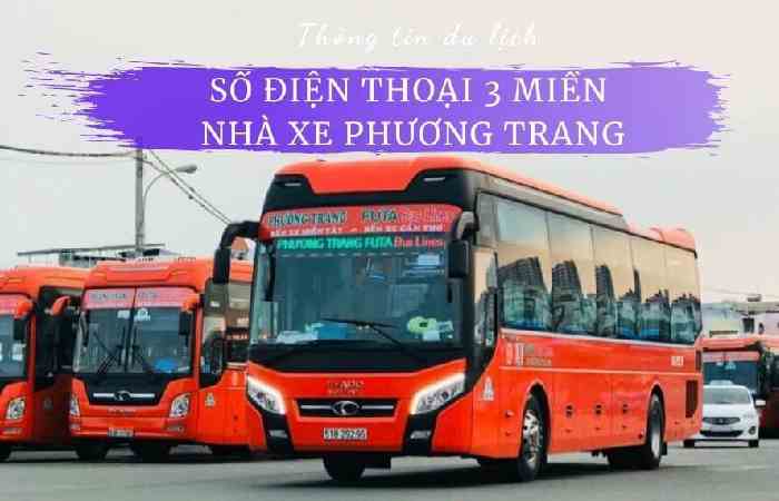 Looking for numbers of Xe Phương Trang