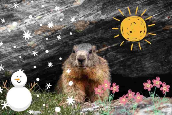 Groundhog Day