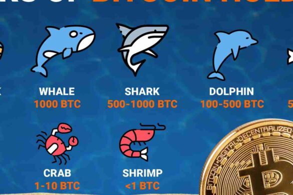 Ranks Of Bitcoin (BTC) Holder