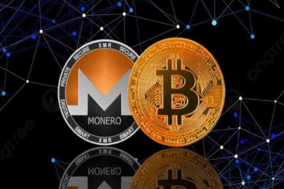 XMU and XMR Might help you with the Recent Crypto Crash